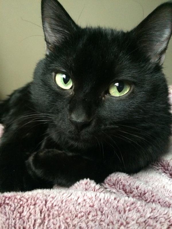 /Images/uploads/Humane Society of Utah/HSUCalendar/entries/1546thumb.jpg